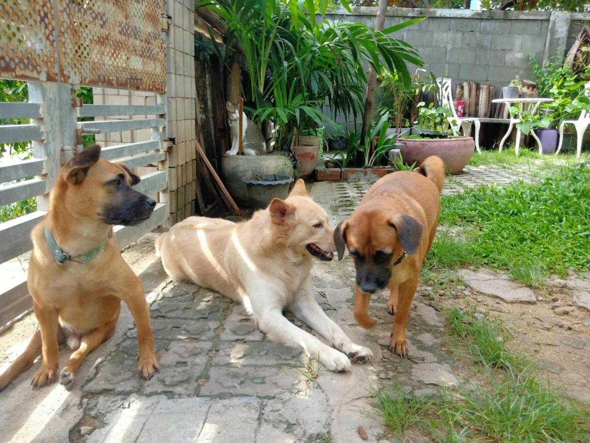 Kol House Bed & Breakfast Phnom Penh Exterior photo