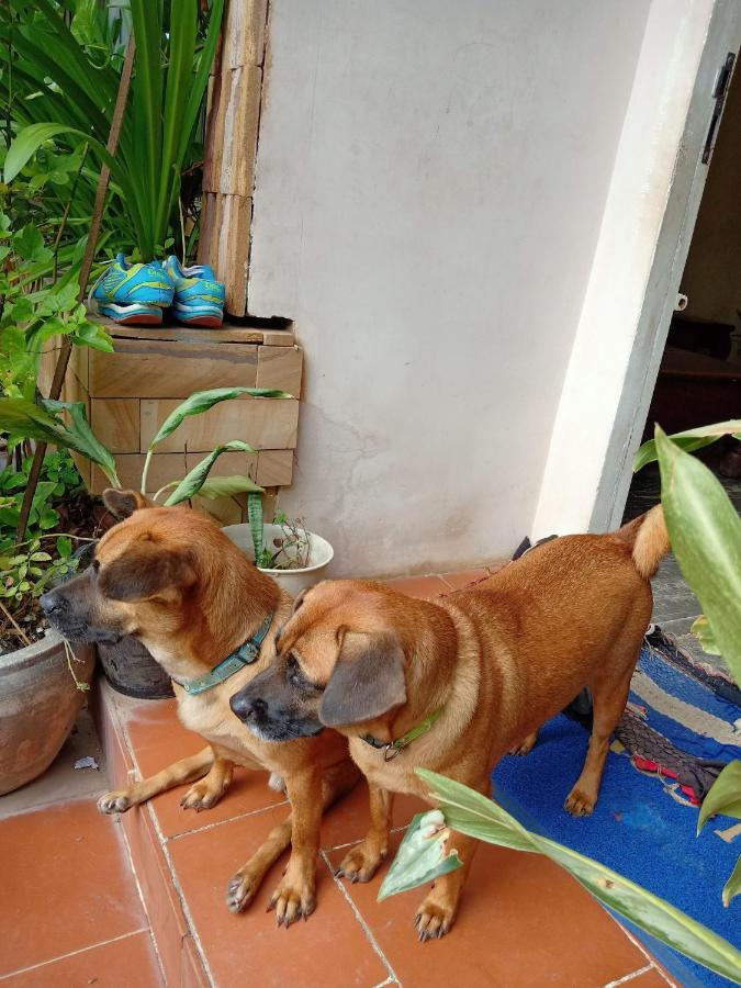 Kol House Bed & Breakfast Phnom Penh Exterior photo